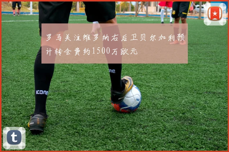 罗马关注维罗纳右后卫贝尔加利预计转会费约1500万欧元