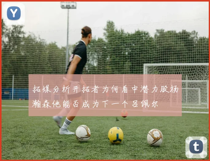 拓媒分析开拓者为何看中潜力股杨瀚森他能否成为下一个吕佩尔