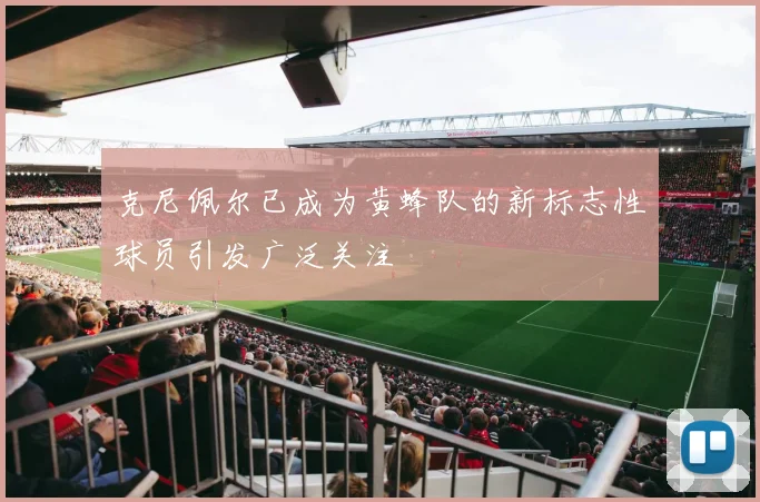 克尼佩尔已成为黄蜂队的新标志性球员引发广泛关注