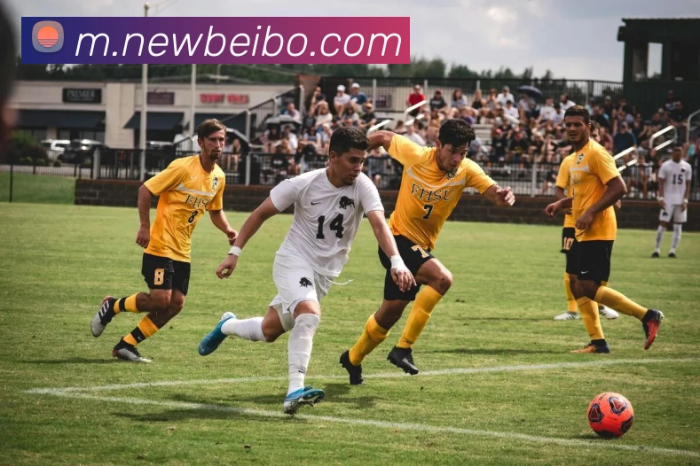 多媒体互动体验