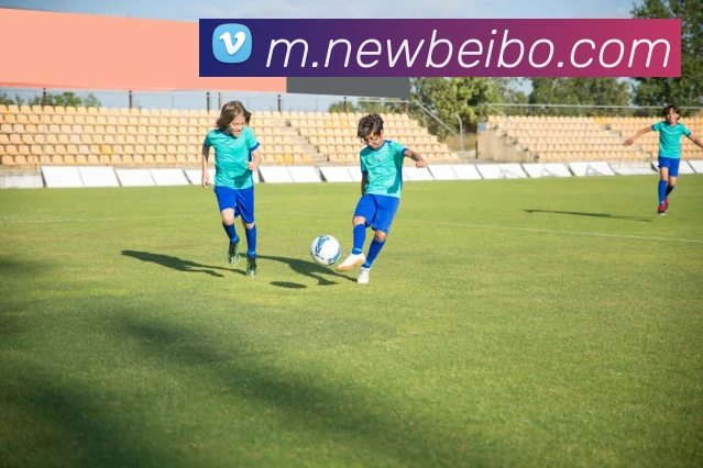 贝博体育APP 高清赛事图